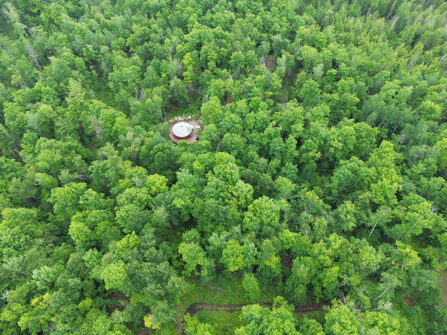 Aerial view of the retreat in the forest