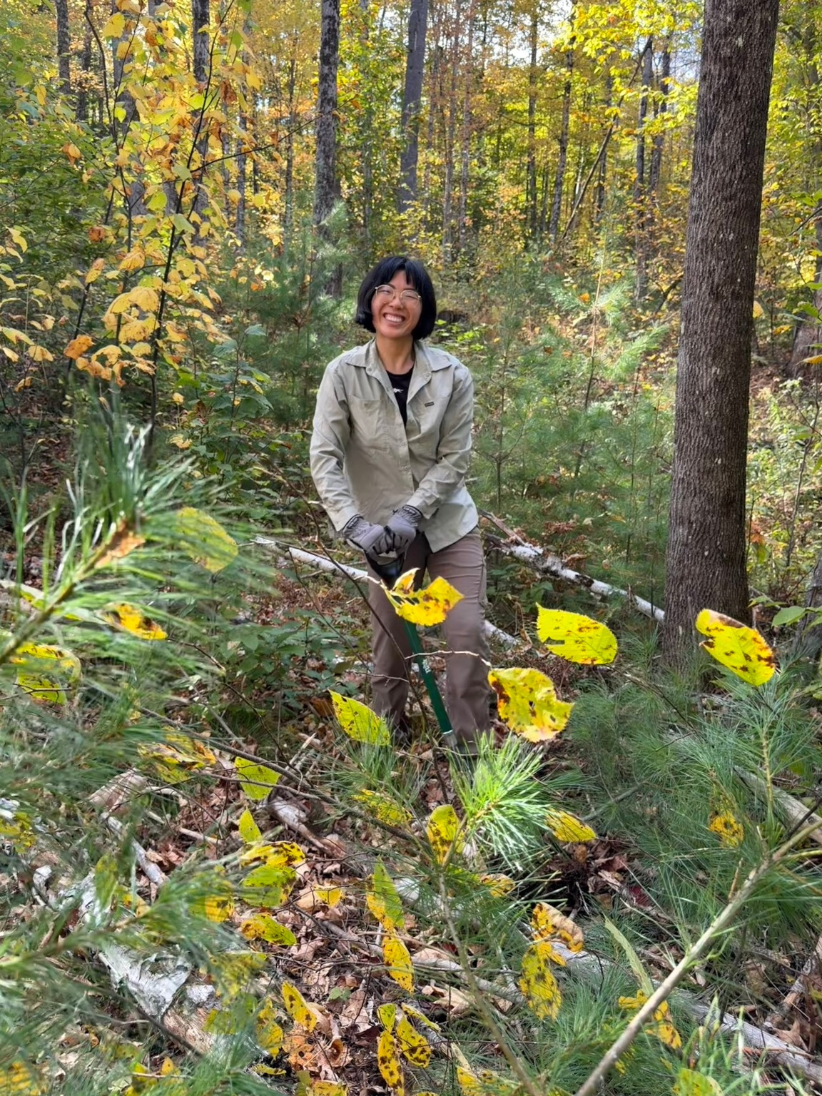 Working in the woods