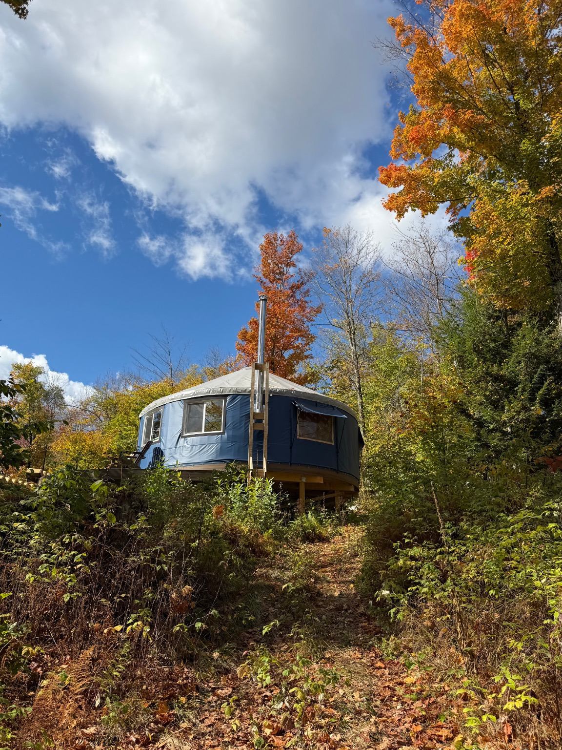 Highbush yurt in autumn