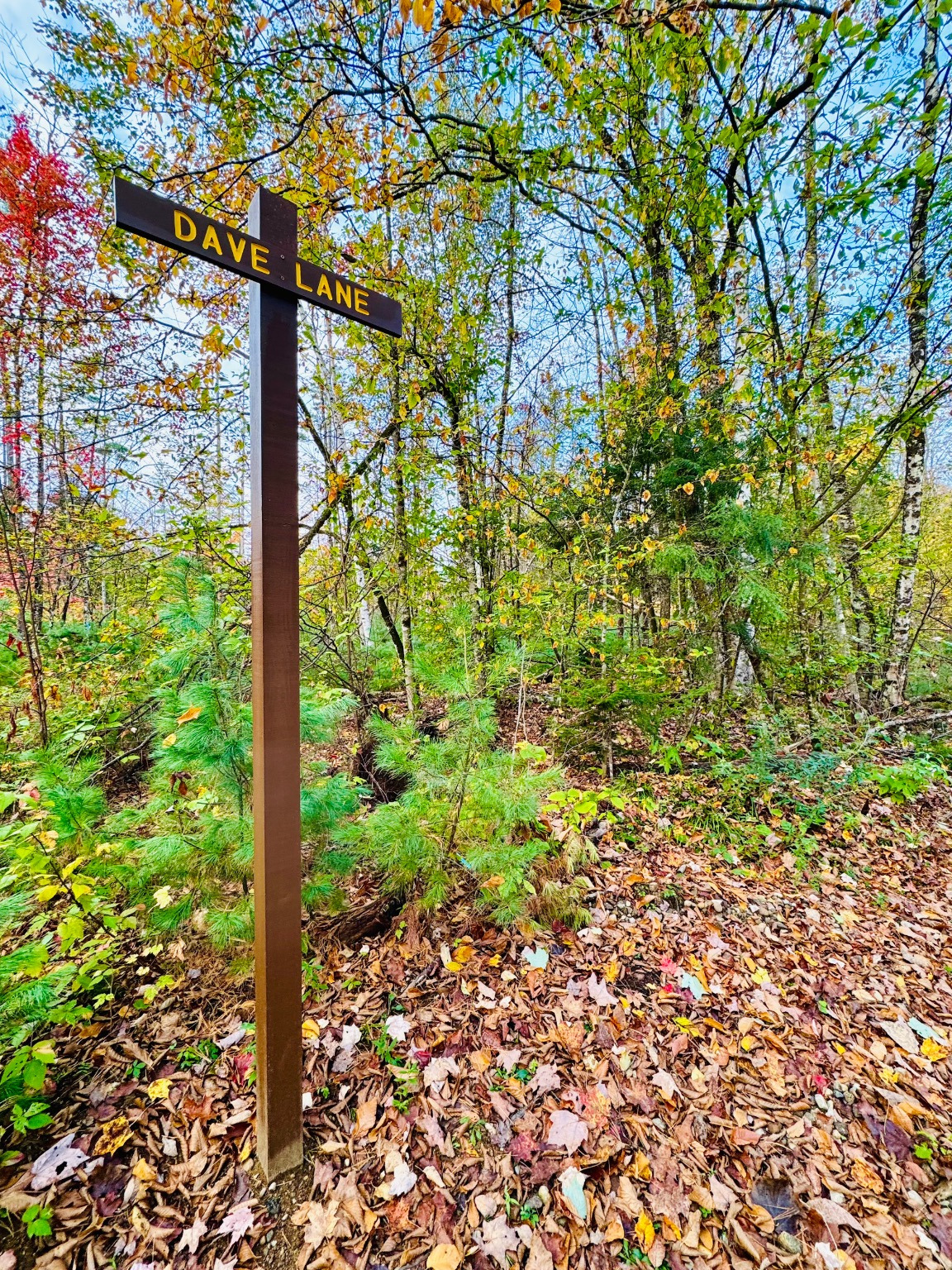 Dave Lane sign in the woods